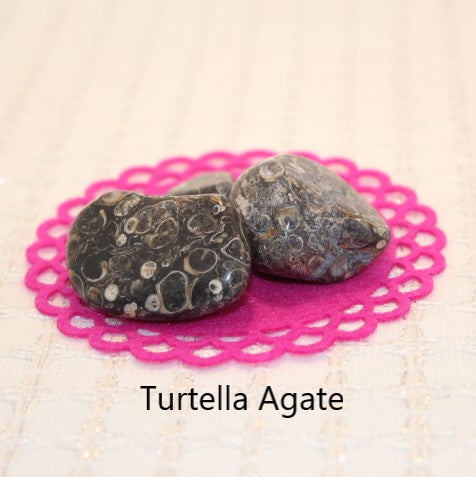 Agate-Turritella